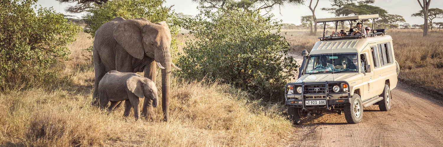 Serengeti-National-Park 1.webp